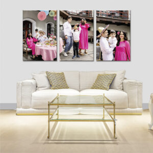 Wall Display Canvas Portrait (Set of 3)
