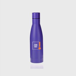 Insulated Double Wall Bottle