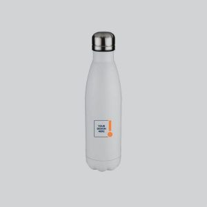 Thermal Stainless Steel Bottle