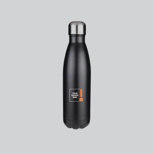 Thermal Stainless Steel Bottle